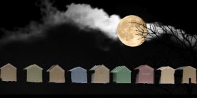 Transiting Moon in the Houses